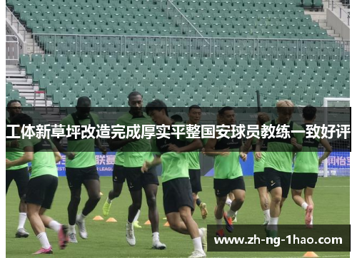 工体新草坪改造完成厚实平整国安球员教练一致好评