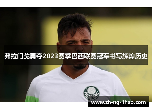 弗拉门戈勇夺2023赛季巴西联赛冠军书写辉煌历史