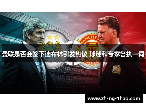 曼联是否会签下迪布林引发热议 球迷和专家各执一词