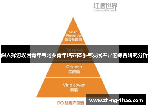 深入探讨埃因青年与阿贾青年培养体系与发展差异的综合研究分析