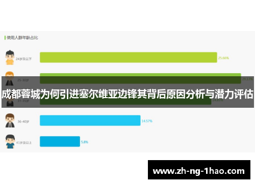 成都蓉城为何引进塞尔维亚边锋其背后原因分析与潜力评估